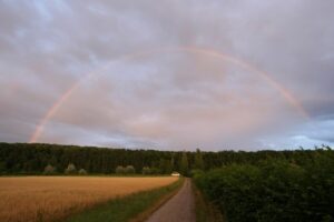 Regenbogen über Rheinau, CH